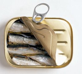 Can of Sardines 