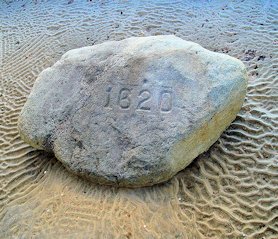 Plymouth Rock 