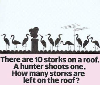 Storks on a Roof