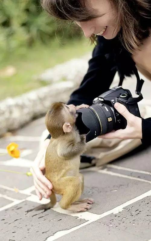 Monkey and Camera Pals    - Page 20