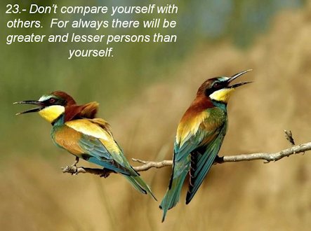 Don't Compare Yourself with Others - Page 23