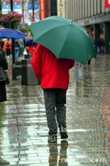 Umbrella in the Rain