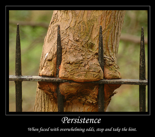 Persistence - When faced with overwhelming odds, stop and take the hint. - Page 4