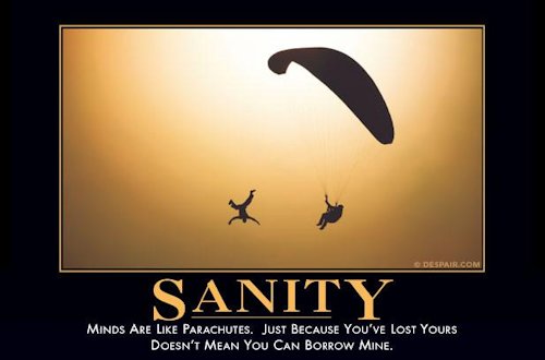 In Sanity - Minds are like Parachutes. Just because you Lost Yours Doesn't Mean You can Borrow Mine