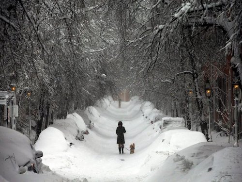 Walking the Dog in the Snow - Scene 22