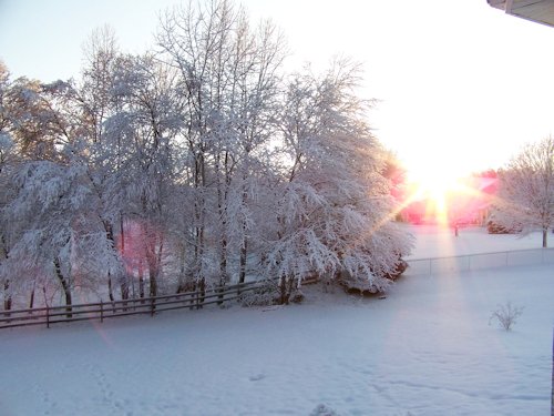 Sunrise in the Snow - Scene 24