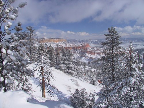 Snow Covered Canyon - Scene 28