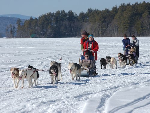 Dog Sled Teams - Scene 39