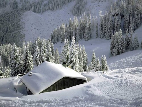 Isolated Cabin in the Snow - Scene 41