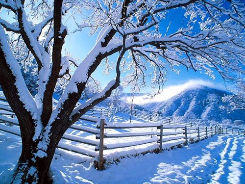 Corral in the Snow - Scene 42
