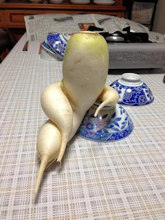 A turnip that wanted to be a pin-up  - Scene 3