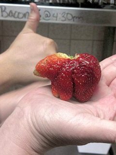 A strawberry in Bear Form   - Scene 8
