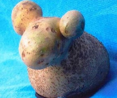 A mouse-shaped potato  - Scene 13