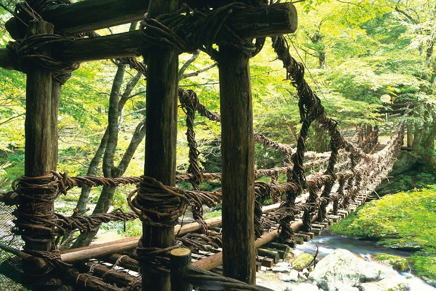 Vine bridges in Shikoku  