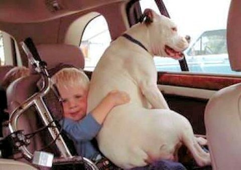 Hang on son, we have only one safety seat.