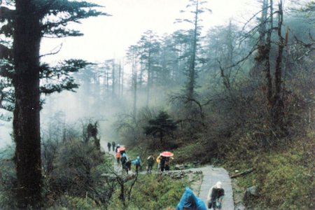 Path to the top of Mount Emei