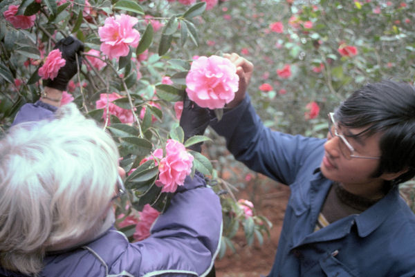 Chinese Scientist/Botanist