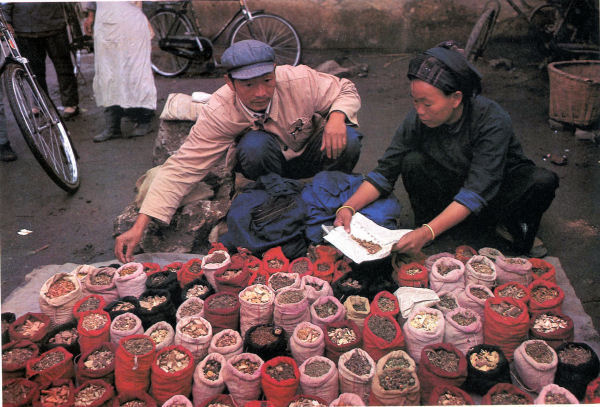 Young Chinese Couple