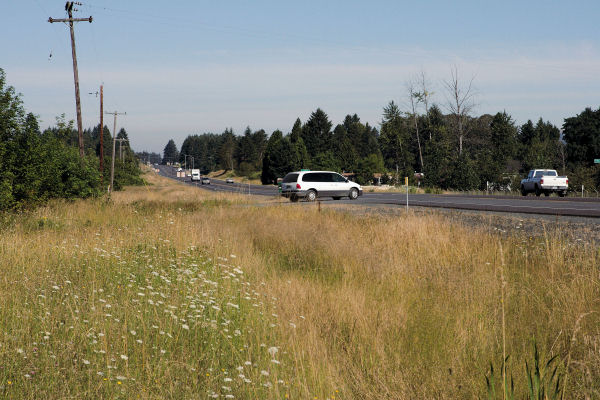 Highway 58 at Pierland Lane