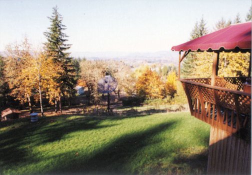 Lawn and Hot Tub