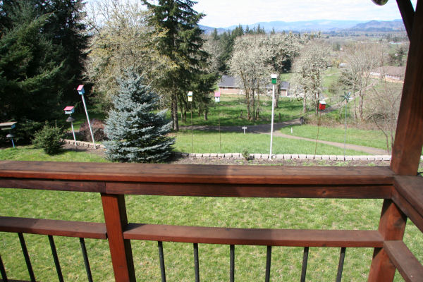 Looking North from the Hot Tub