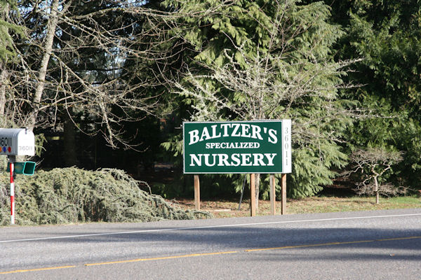 Baltzer's Specialized Nursery 