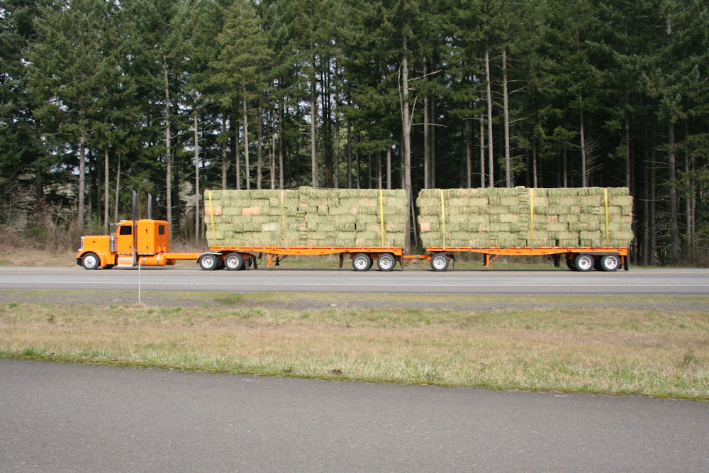 A Truckload of Hay