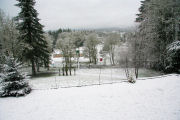 View from Deck in Snow 26
