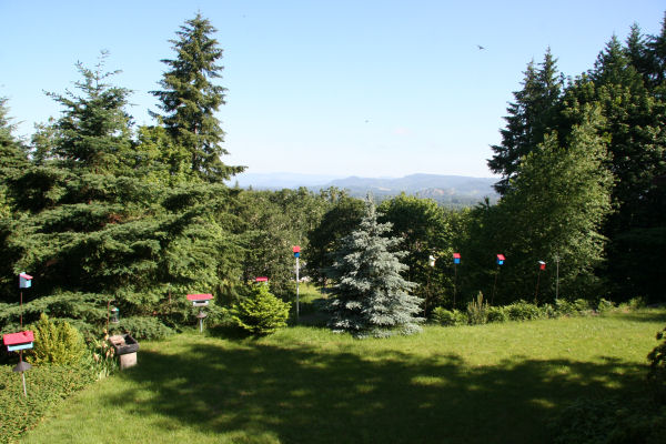 Lawn from Deck 29