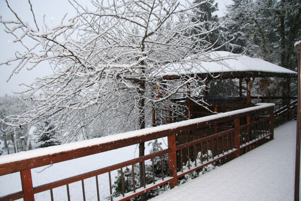 The Deck in the Snow 34