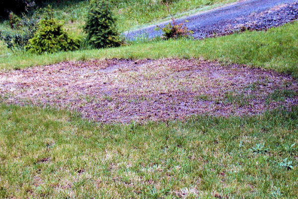 Fill Dirt for Rock Wall all Moved 64