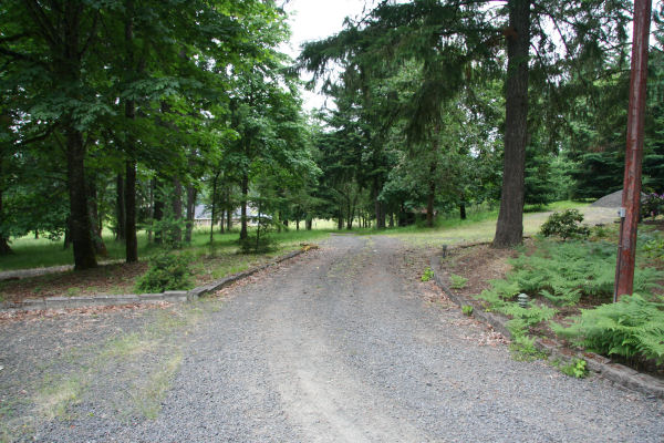 Driveway coming up to Shop 73