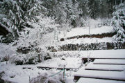 Snow Scene 8