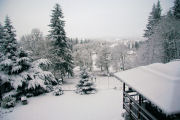 Snow Scene 11