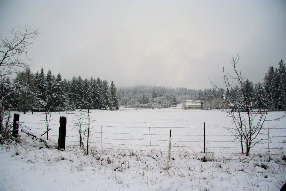 Noll Home in Oregon