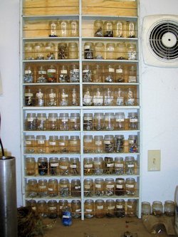 Jars of Screws and Nails