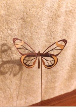 Butterfly Model 107