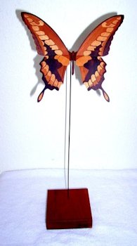 Butterfly Model 111