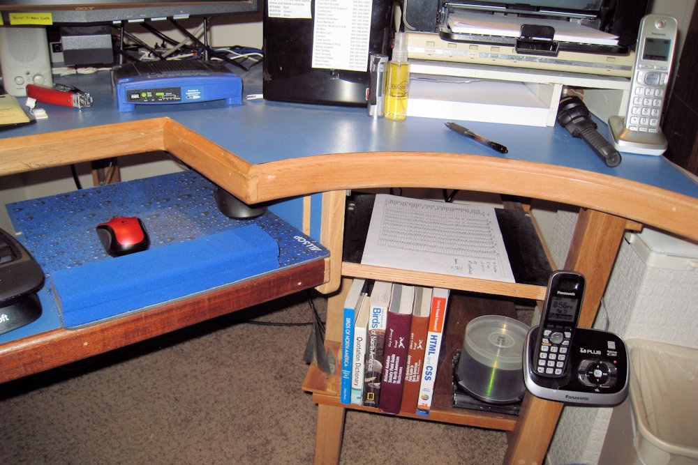 Computer Reference Book Shelf