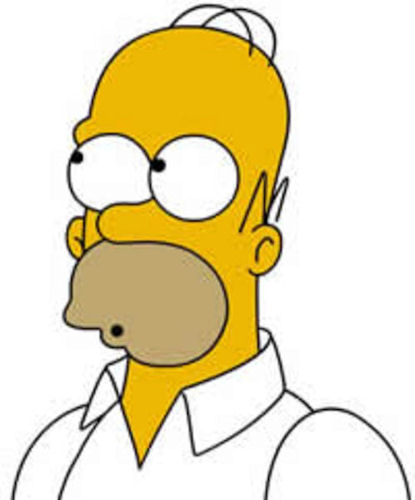 Homer Simpson 