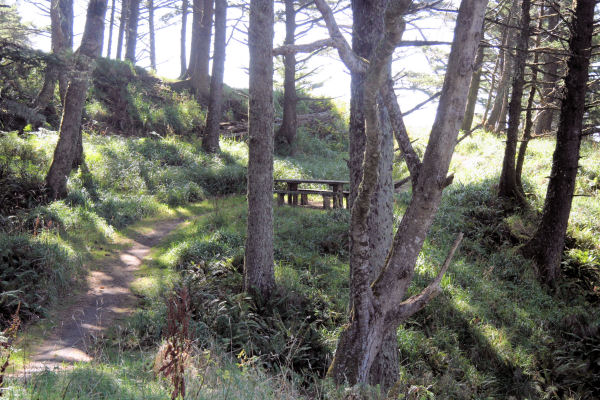 Ecola Beach State Park, Oregon Coast