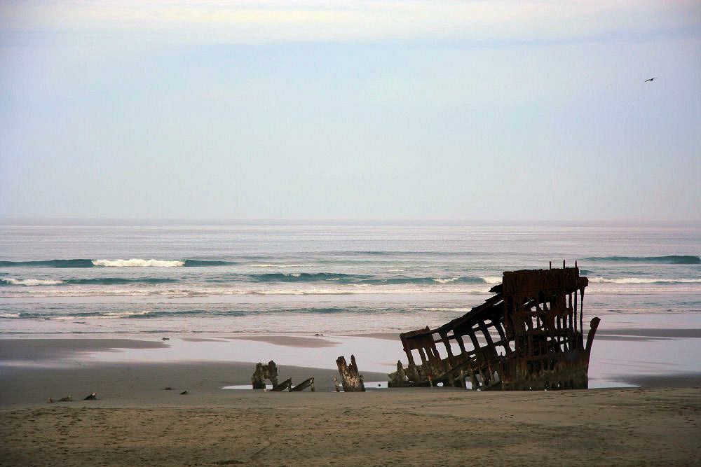 Peter Iredale 2007