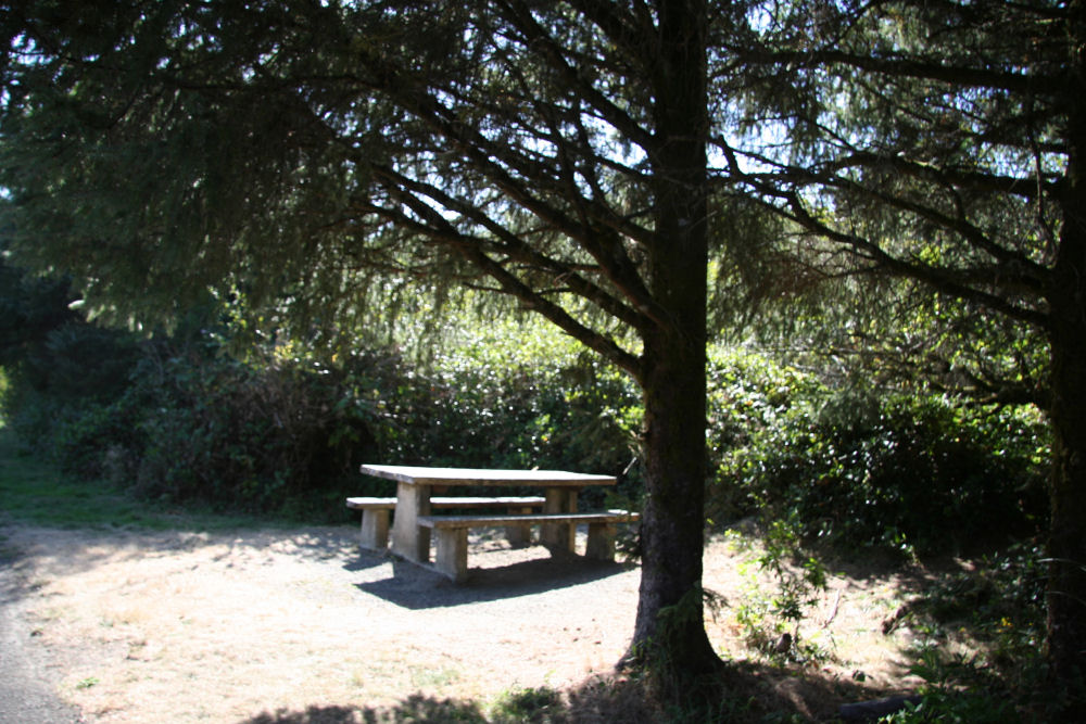 Manhattan Beach Picnic Table