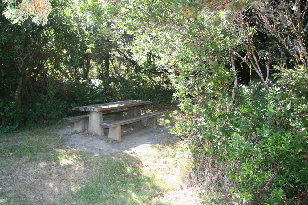 Manhattan Beach Picnic Table