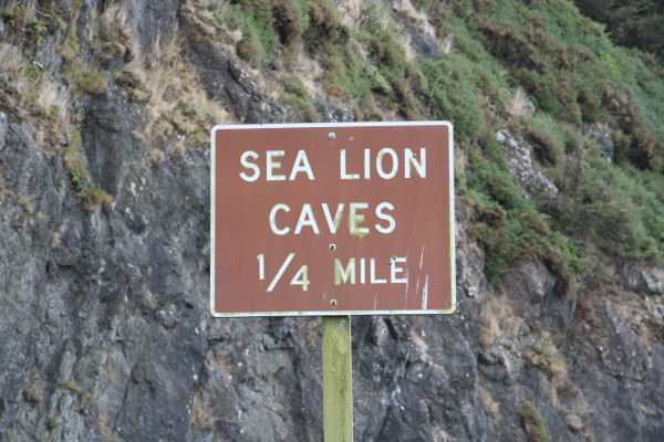 Sea Lion Sign