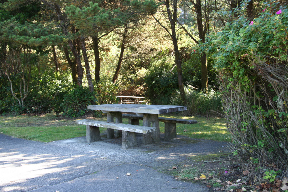 Picnic Area