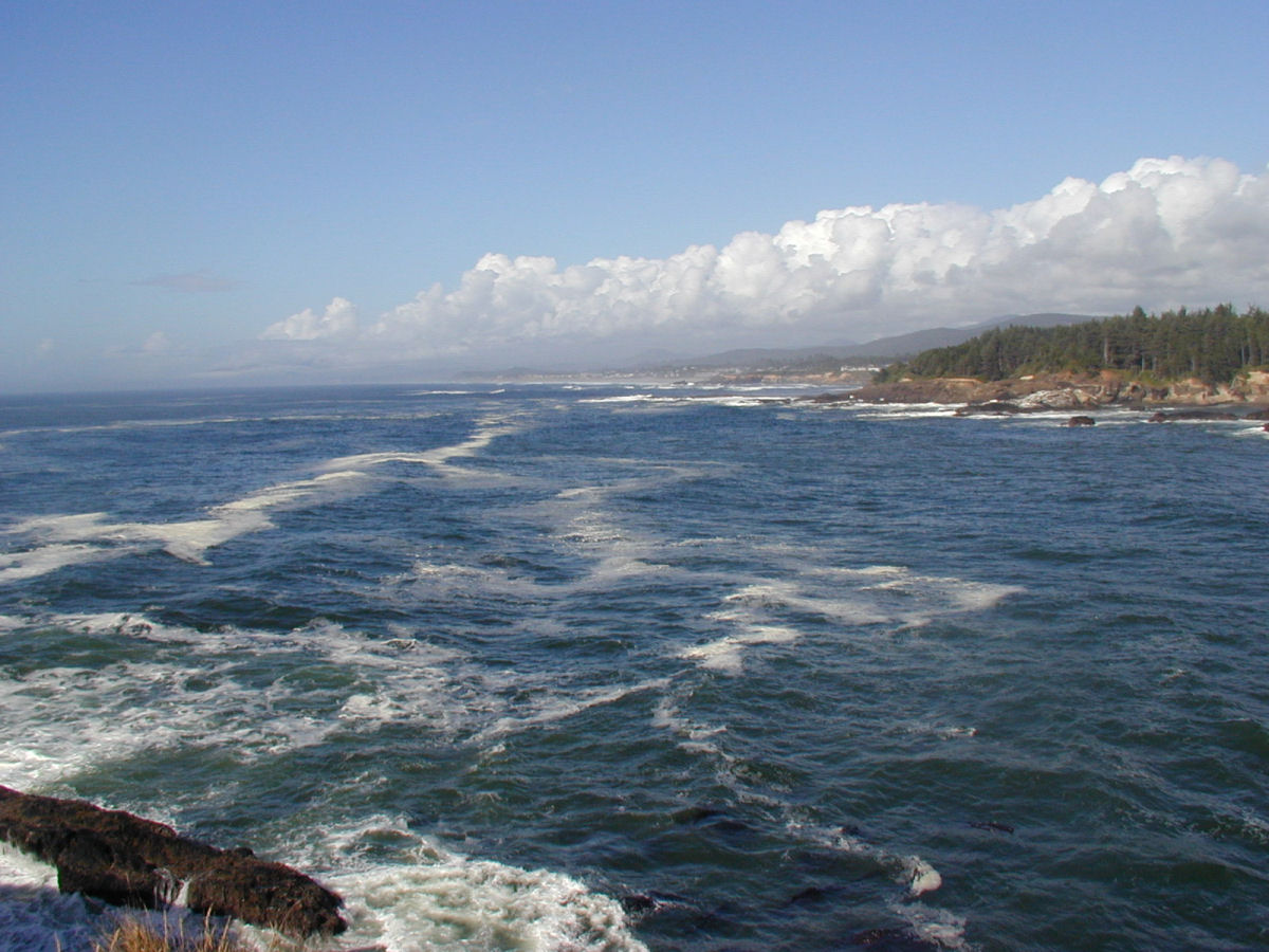 Boiler Bay View