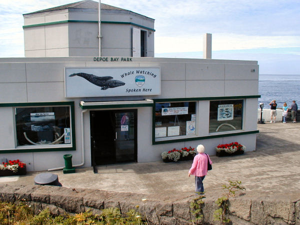 Whale Watching Center