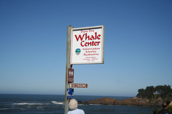 Whale Watching at Depoe Bay, Oregon