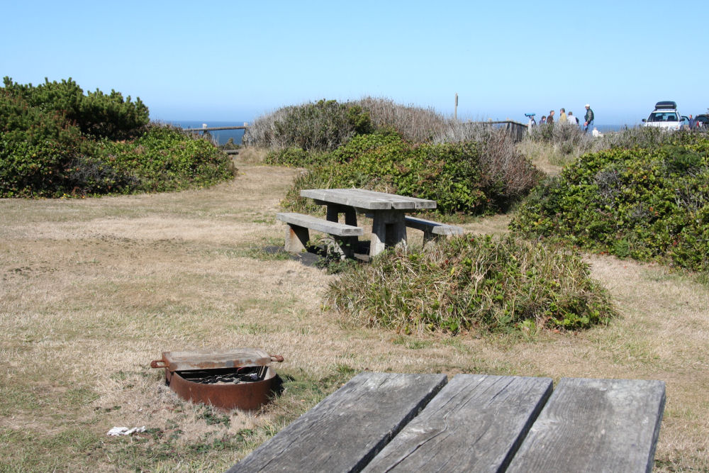 Picnic Table with Fire Pit